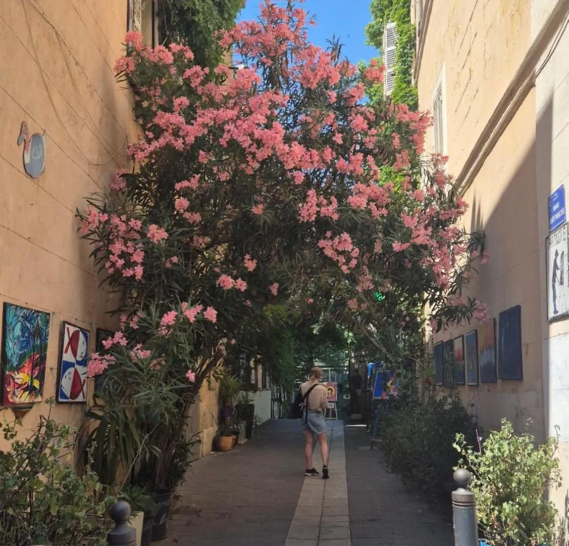 Apartmán Au Coeur Du Panier Avec Terrasse 2 A 4 Personnes Climatisation Marseille